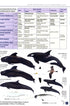 Europe's Sea Mammals - Still, R. ym. 2019